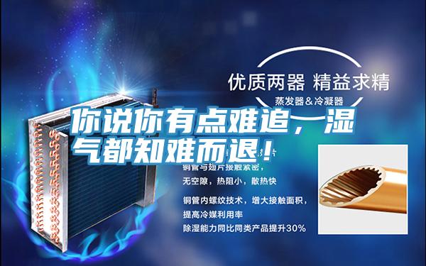 你說你有點難追，濕氣都知難而退！