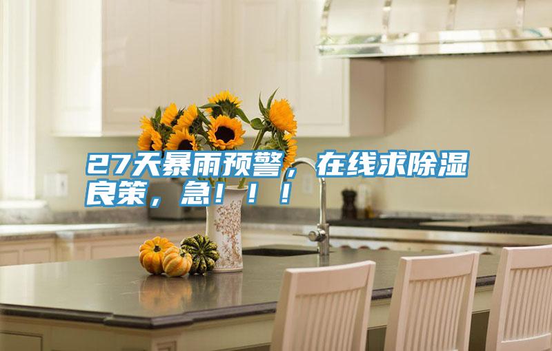 27天暴雨預(yù)警，在線求除濕良策，急?。?！