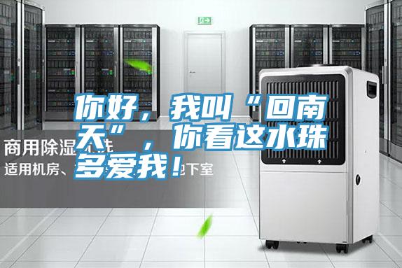 你好，我叫“回南天”，你看這水珠多愛我！