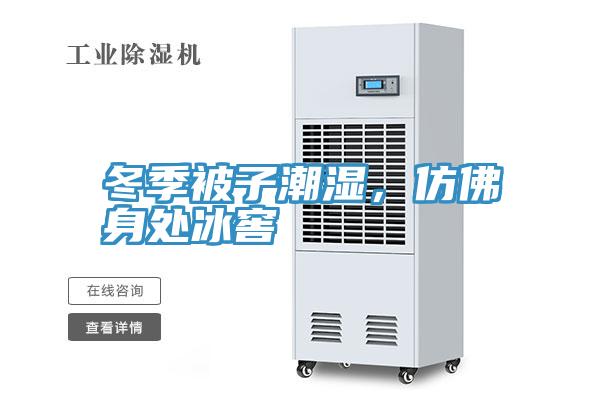 冬季被子潮濕，仿佛身處冰窖