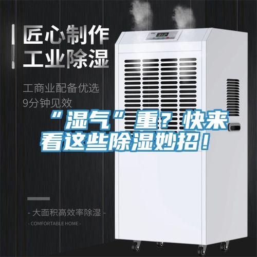 “濕氣”重？快來看這些除濕妙招！