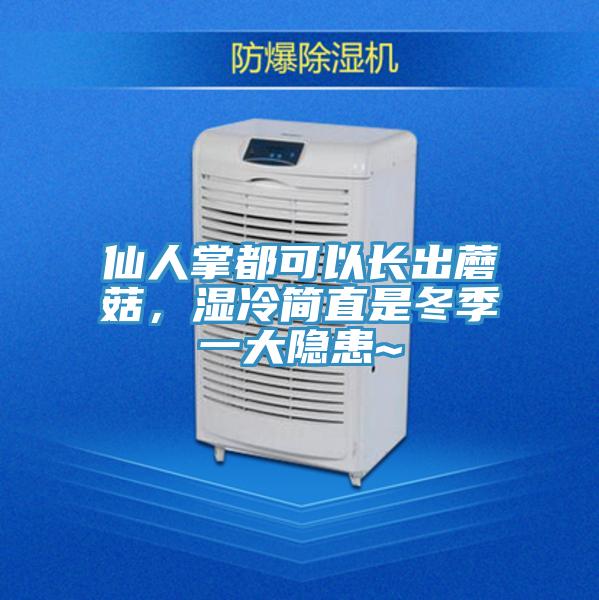 仙人掌都可以長出蘑菇，濕冷簡直是冬季一大隱患~