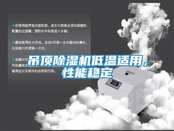 吊頂除濕機低溫適用，性能穩(wěn)定