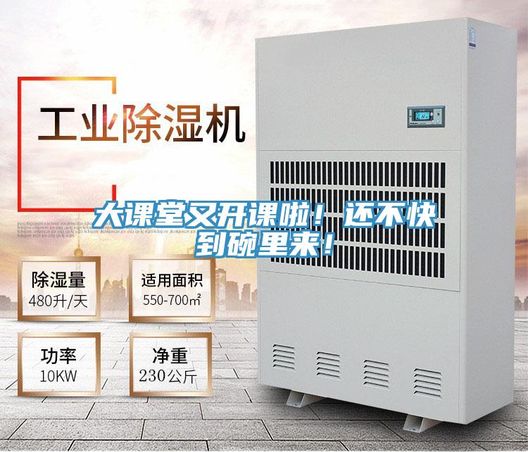 大課堂又開課啦！還不快到碗里來！