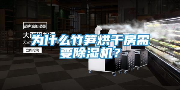 為什么竹筍烘干房需要除濕機(jī)?