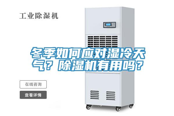 冬季如何應對濕冷天氣？除濕機有用嗎？