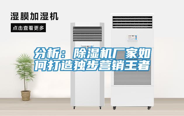 分析:除濕機(jī)廠家如何打造獨(dú)步營銷王者