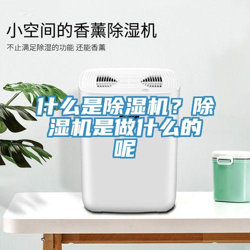 什么是除濕機(jī)？除濕機(jī)是做什么的呢