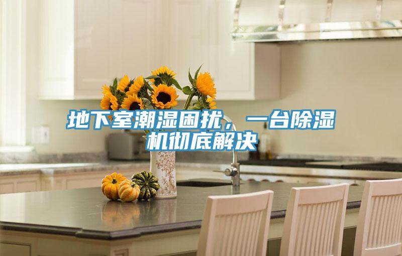 地下室潮濕困擾，一臺(tái)除濕機(jī)徹底解決