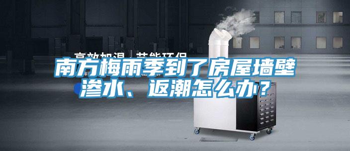 南方梅雨季到了房屋墻壁滲水、返潮怎么辦？