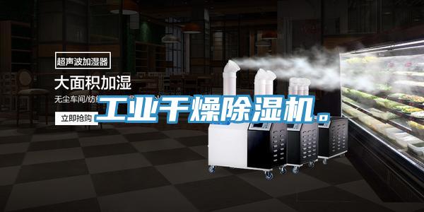 工業(yè)干燥除濕機。