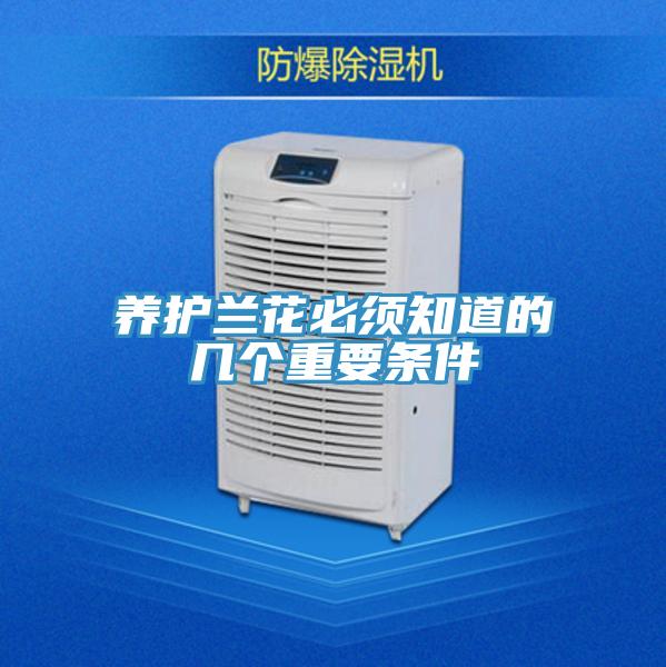 養(yǎng)護(hù)蘭花必須知道的幾個重要條件