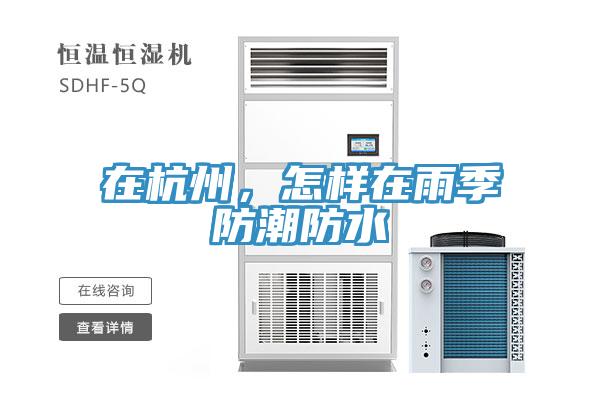 在杭州，怎樣在雨季防潮防水