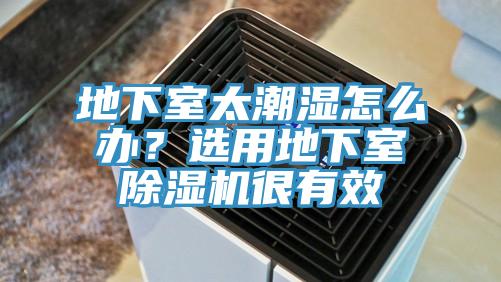 地下室太潮濕怎么辦？選用地下室除濕機很有效