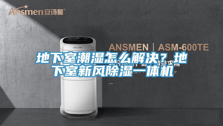 地下室潮濕怎么解決？地下室新風(fēng)除濕一體機