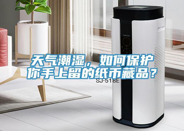 天氣潮濕，如何保護你手上留的紙幣藏品？