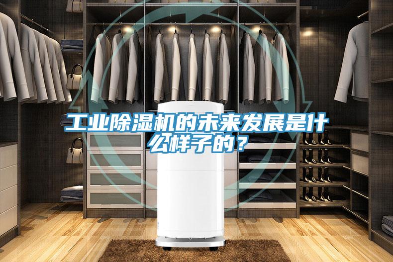 工業(yè)除濕機(jī)的未來(lái)發(fā)展是什么樣子的？