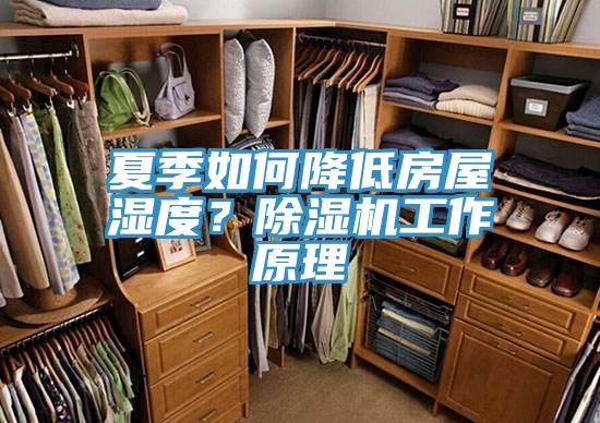 夏季如何降低房屋濕度？除濕機(jī)工作原理