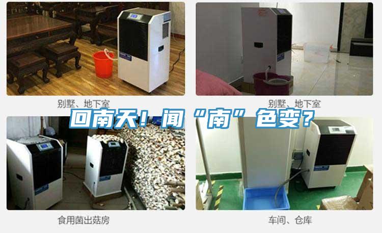回南天！聞“南”色變？