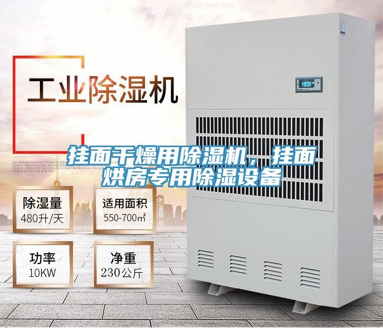 掛面干燥用除濕機(jī)，掛面烘房專(zhuān)用除濕設(shè)備