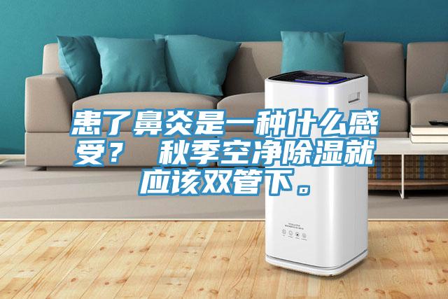 患了鼻炎是一種什么感受？ 秋季空凈除濕就應(yīng)該雙管下。