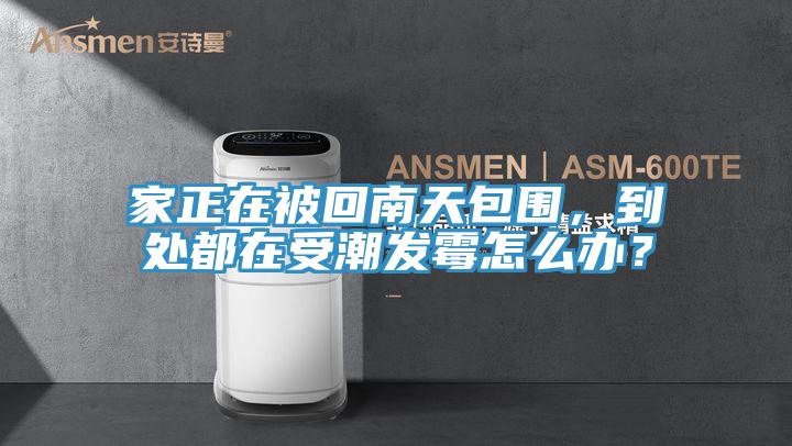 家正在被回南天包圍，到處都在受潮發(fā)霉怎么辦？