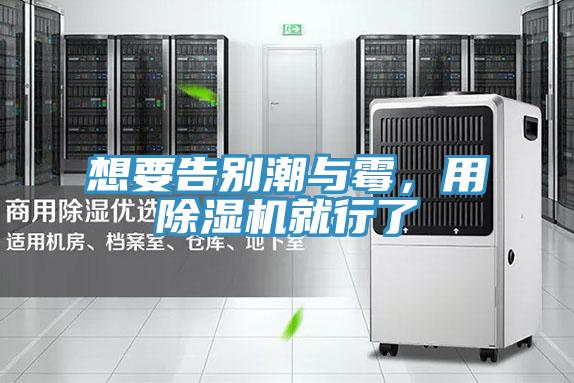 想要告別潮與霉,用除濕機(jī)就行了