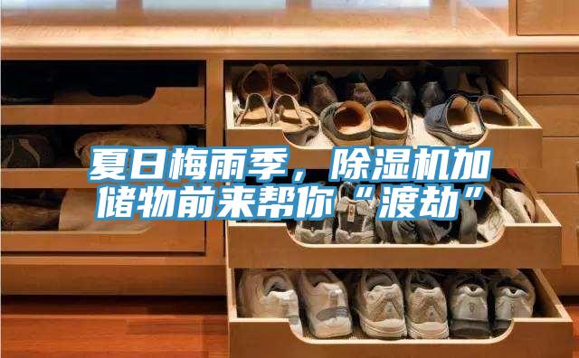 夏日梅雨季，除濕機(jī)加儲(chǔ)物前來(lái)幫你“渡劫”