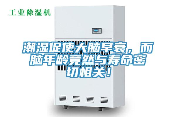 潮濕促使大腦早衰，而腦年齡竟然與壽命密切相關(guān)！