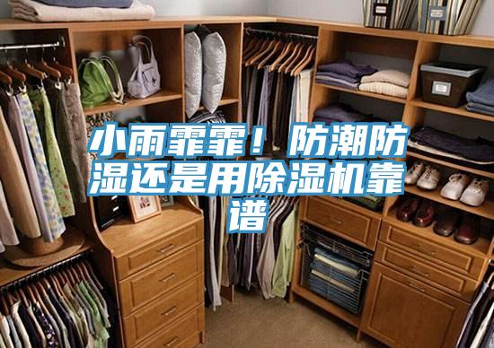 小雨霏霏！防潮防濕還是用除濕機靠譜