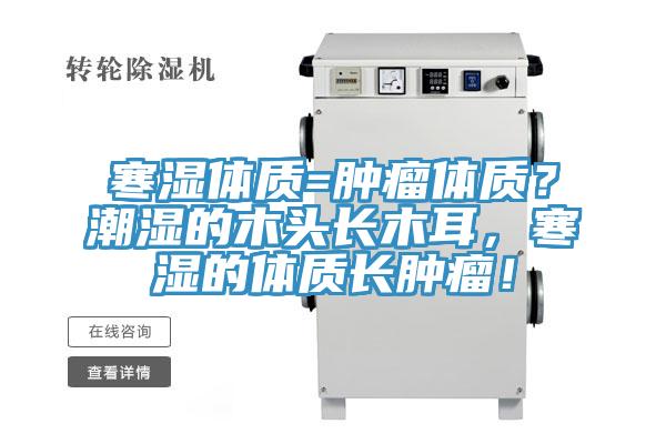 寒濕體質=腫瘤體質？潮濕的木頭長木耳，寒濕的體質長腫瘤！