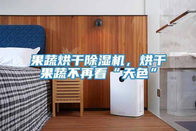 果蔬烘干除濕機(jī)，烘干果蔬不再看“天色”