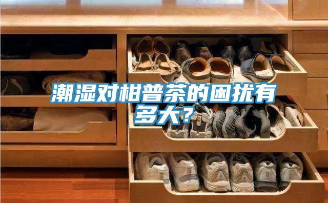 潮濕對柑普茶的困擾有多大？