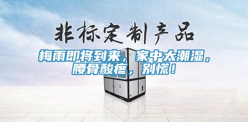 梅雨即將到來(lái)，家中太潮濕，腰骨酸疼，別慌！