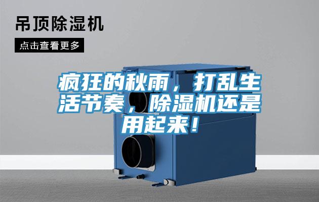 瘋狂的秋雨，打亂生活節(jié)奏，除濕機(jī)還是用起來！