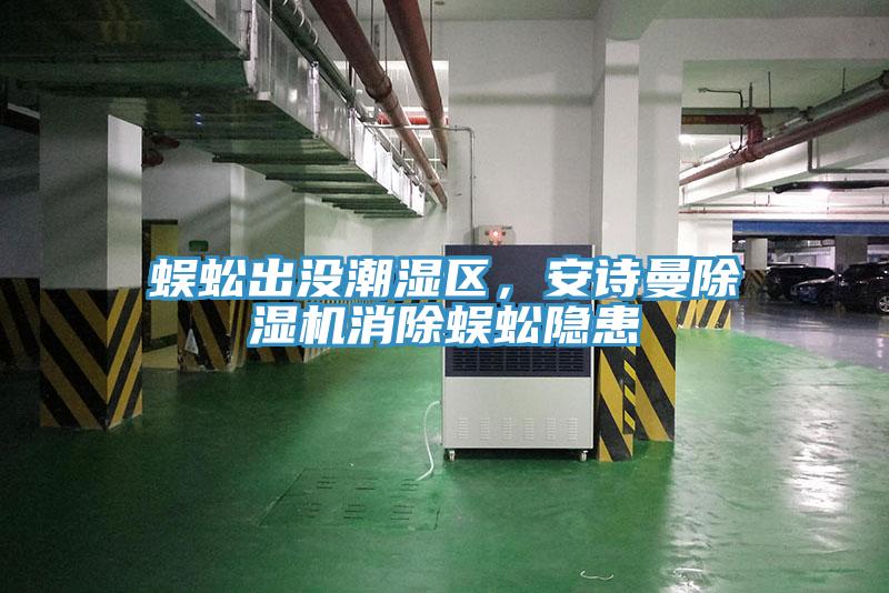 蜈蚣出沒潮濕區(qū)，安詩曼除濕機(jī)消除蜈蚣隱患