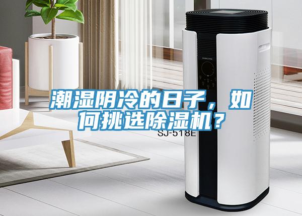 潮濕陰冷的日子，如何挑選除濕機(jī)？
