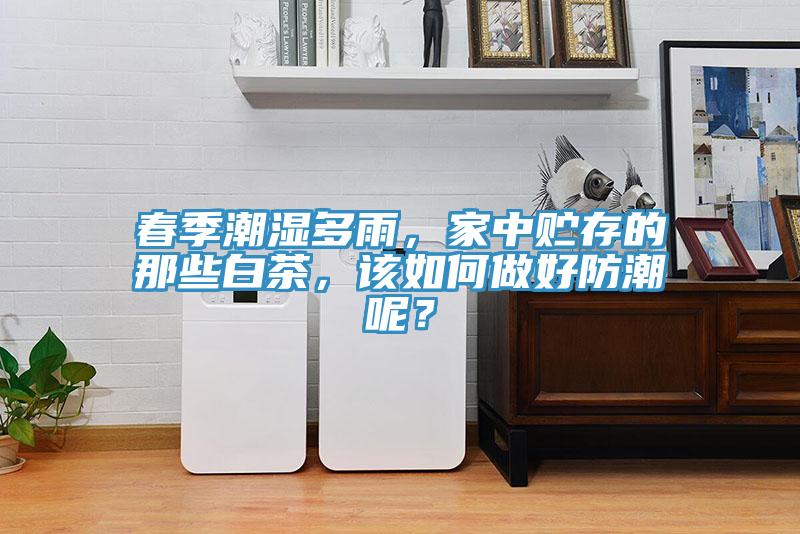 春季潮濕多雨，家中貯存的那些白茶，該如何做好防潮呢？