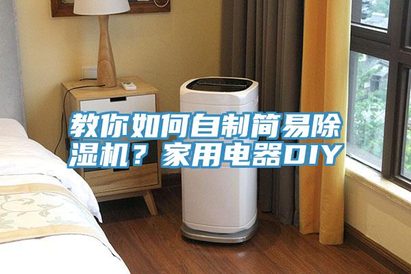 教你如何自制簡易除濕機？家用電器DIY