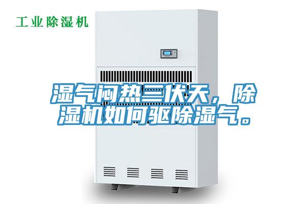 濕氣悶熱三伏天，除濕機如何驅(qū)除濕氣。