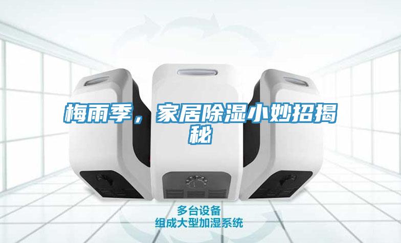 梅雨季，家居除濕小妙招揭秘