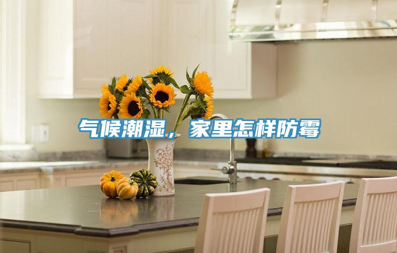 氣候潮濕,家里怎樣防霉