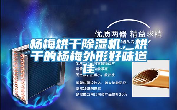 楊梅烘干除濕機(jī),烘干的楊梅外形好味道佳