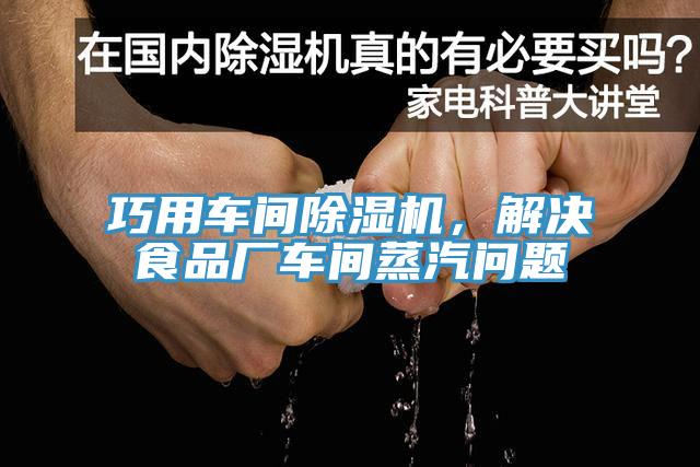 巧用車間除濕機，解決食品廠車間蒸汽問題