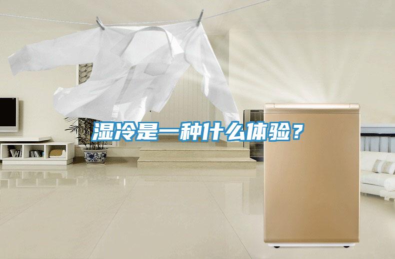 濕冷是一種什么體驗(yàn)？