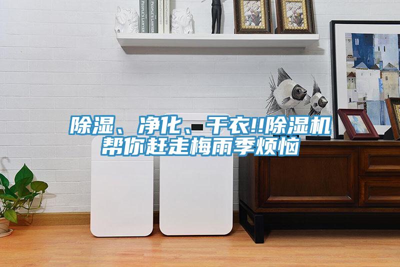 除濕、凈化、干衣!!除濕機(jī)幫你趕走梅雨季煩惱