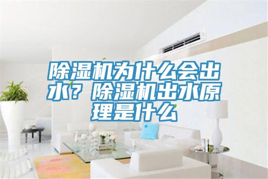 除濕機(jī)為什么會(huì)出水？除濕機(jī)出水原理是什么