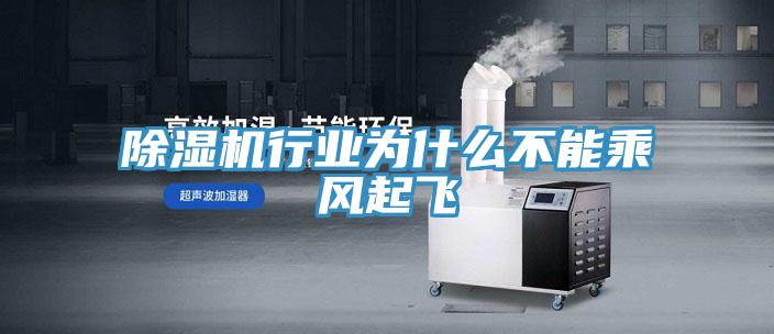 除濕機(jī)行業(yè)為什么不能乘風(fēng)起飛