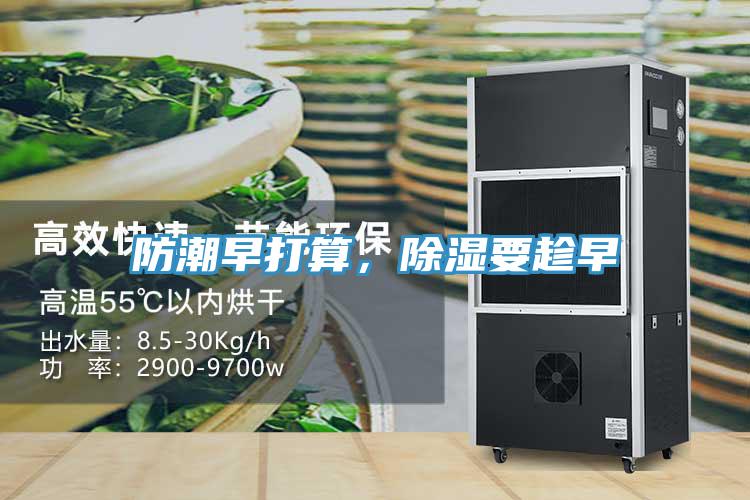 防潮早打算，除濕要趁早