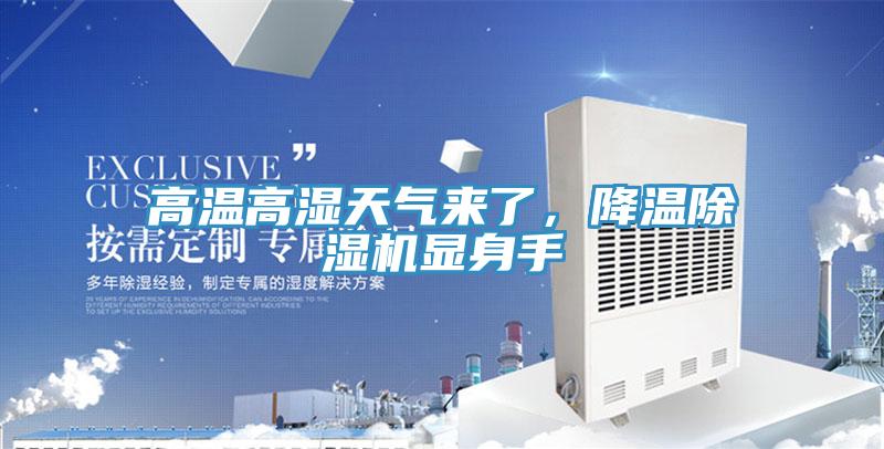 高溫高濕天氣來了，降溫除濕機顯身手